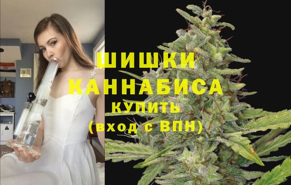 амф Бронницы
