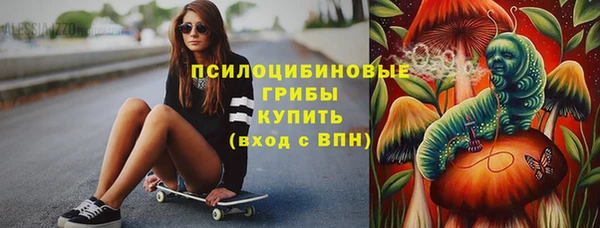 амф Бронницы